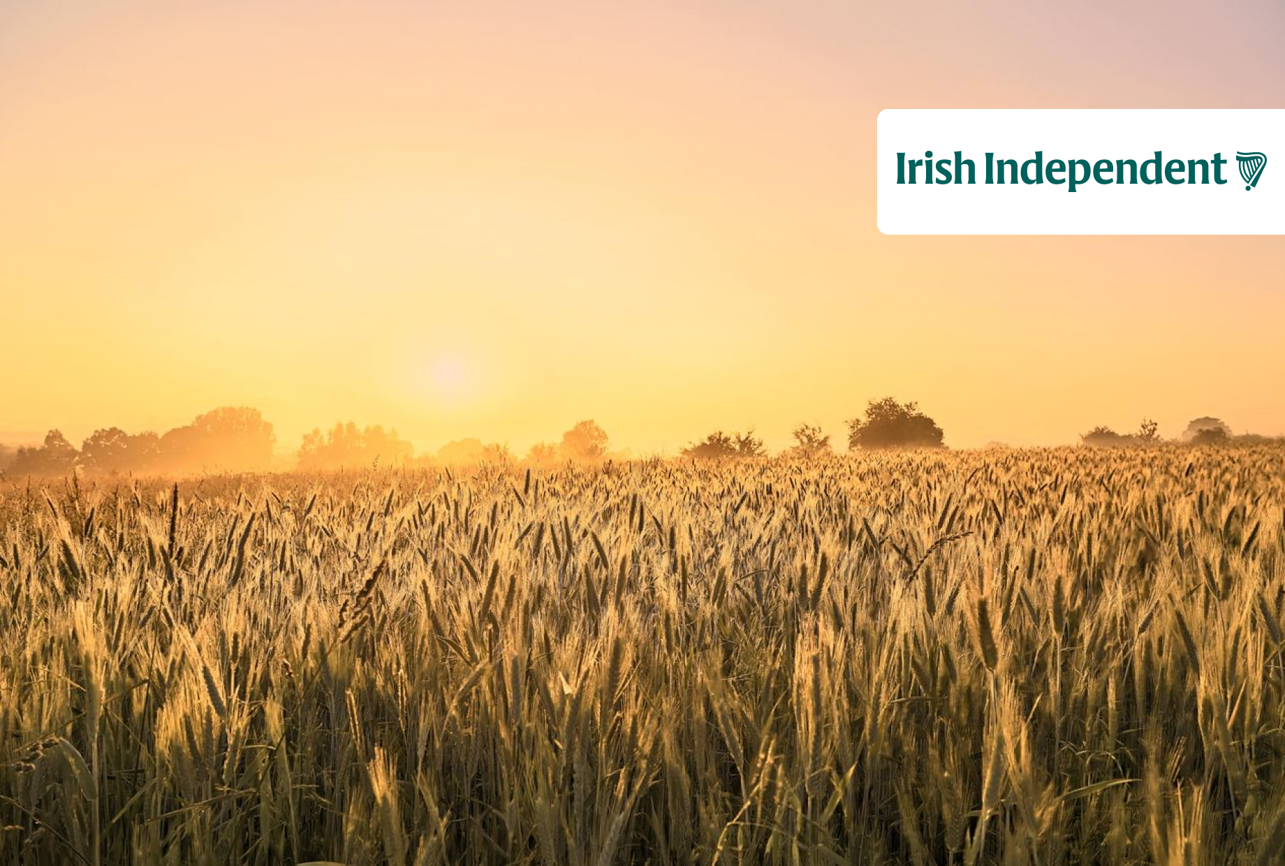 Irish agritech firms are innovators addressing some of the toughest global challenges in agriculture
